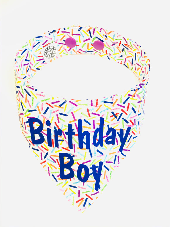 Birthday Boy Sprinkles Snap Bandana