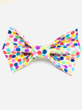 Birthday Dots White Bow Tie