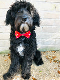 Golden Hearts Red Bow Tie