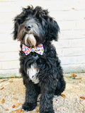 Birthday Dots White Bow Tie